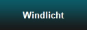 Windlicht